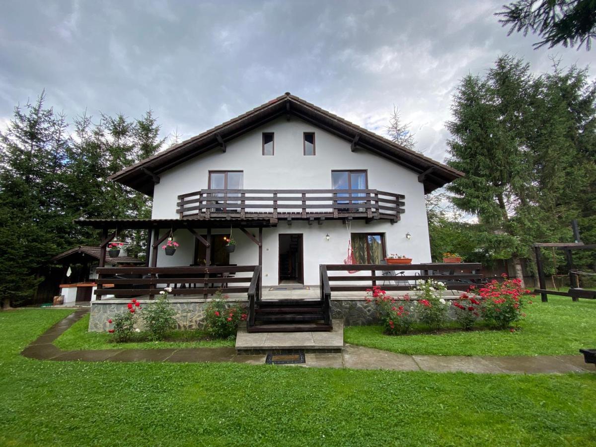 Vila Alunis 2 Бран Екстериор снимка